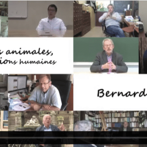 Émotions humaines, émotions animales : Bernard Rimé