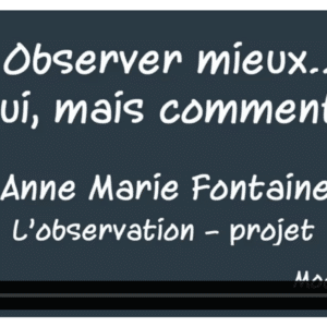 L'observation-projet 1/2 par Anne-Marie Fontaine
