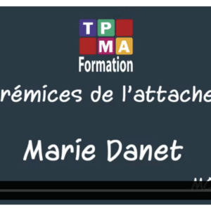 Les prémices de l'attachement